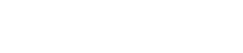 long island diagram